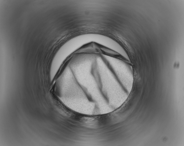 X0000096190170200802151511