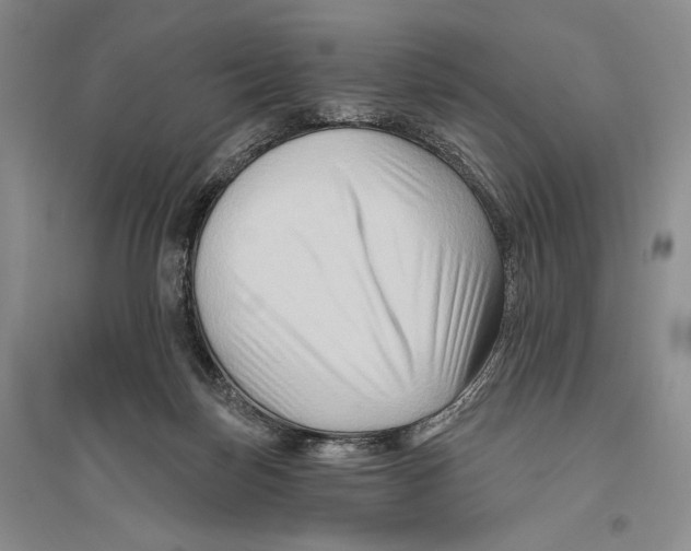 X0000096190171200802151511