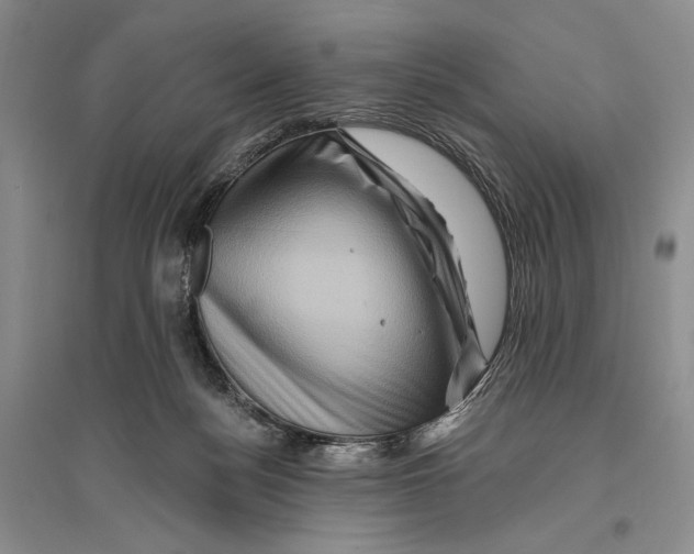 X0000096190172200802151511