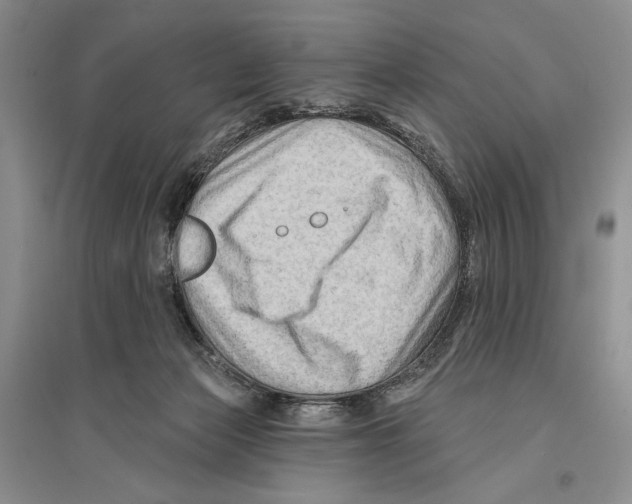 X0000096190173200802151511