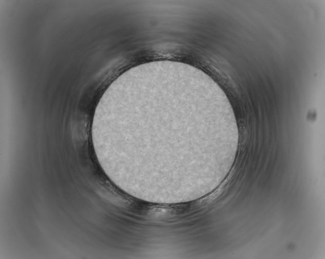 X0000096190174200802151511