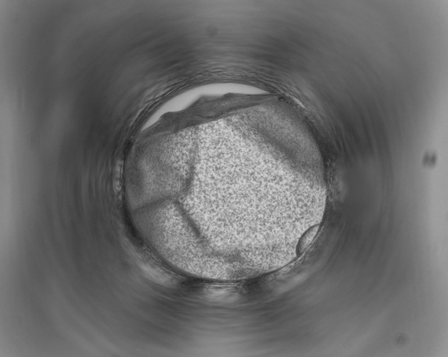 X0000096190175200802151511