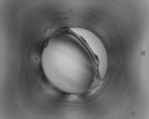 X0000096190176200802151511