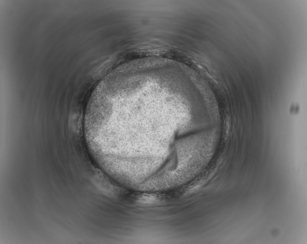 X0000096190177200802151511