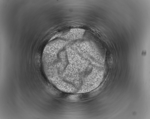 X0000096190178200802151511