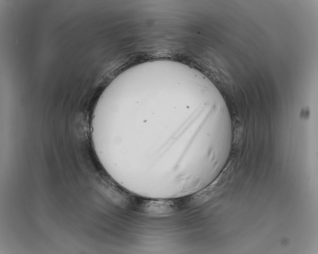 X0000096190179200802151511