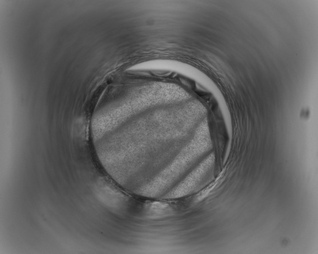 X0000096190180200802151511