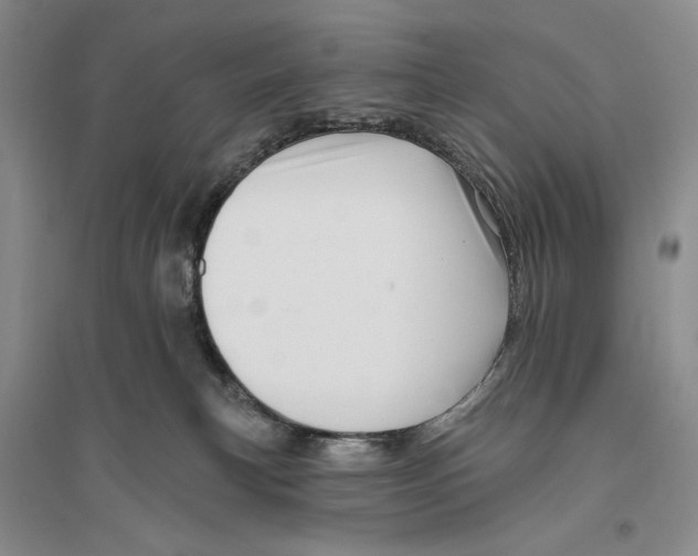 X0000096190183200802151511