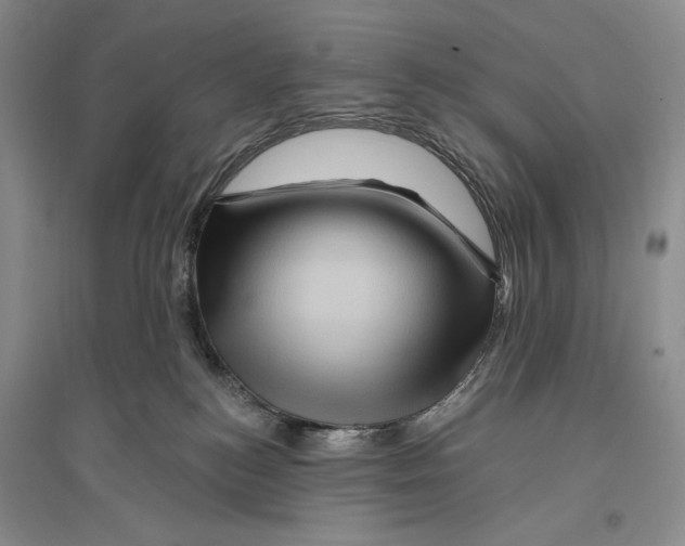 X0000096190184200802151511