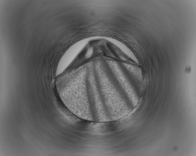 X0000096190186200802151511