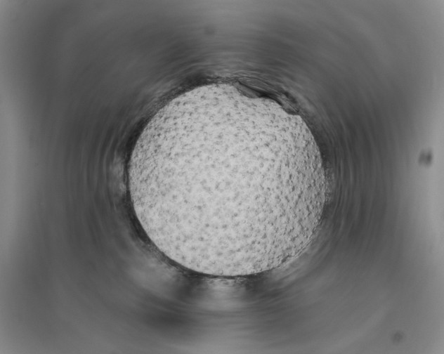 X0000096190187200802151511