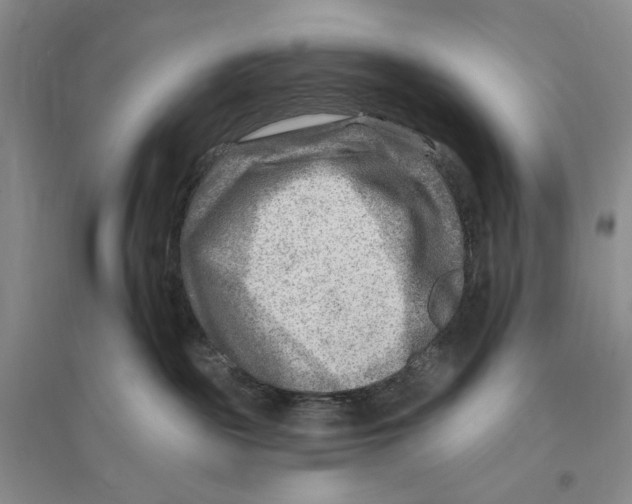 X0000096190189200802151511