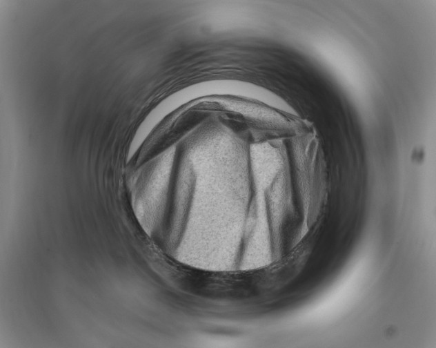 X0000096190190200802151511