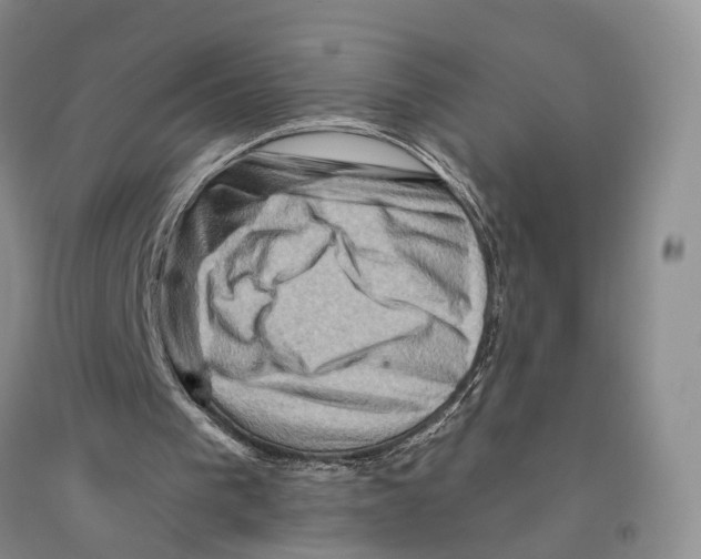 X0000096190193200802151510