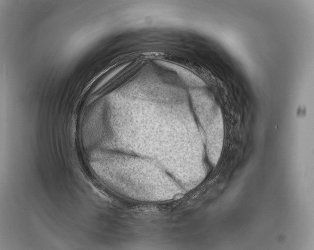 X0000096190194200802151510