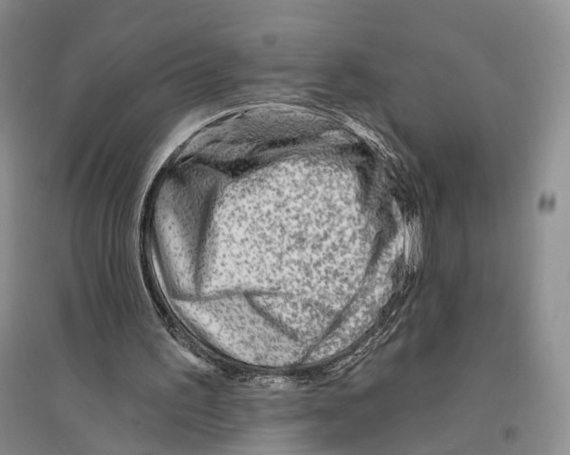 X0000096190195200802151510