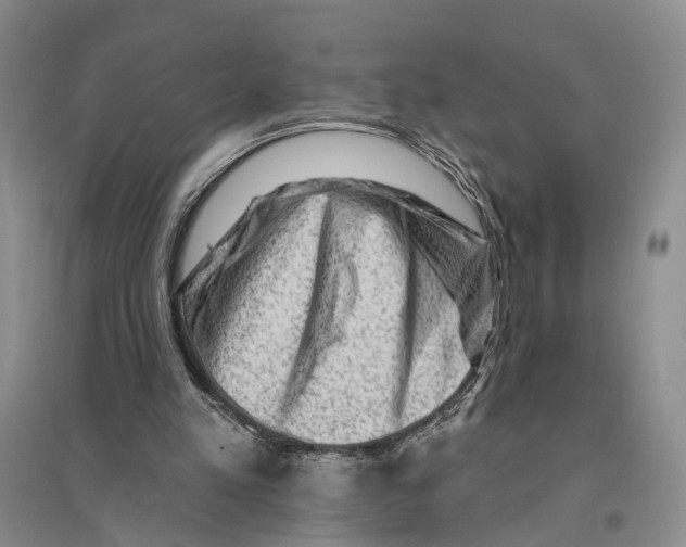 X0000096190197200802151510