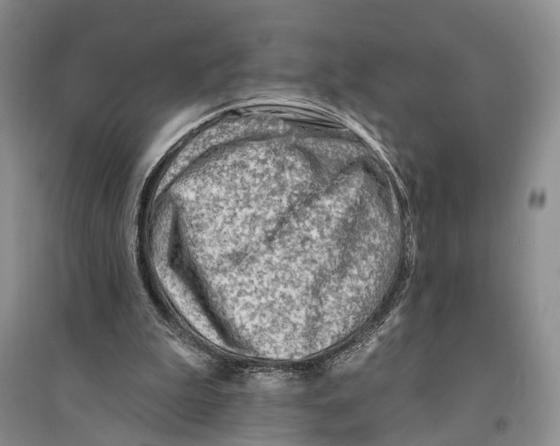 X0000096190199200802151510