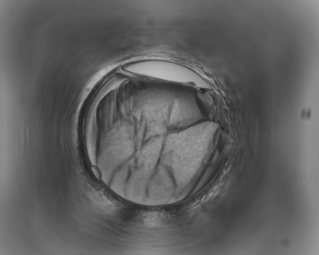 X0000096190200200802151510