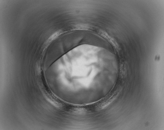 X0000096190203200802151510