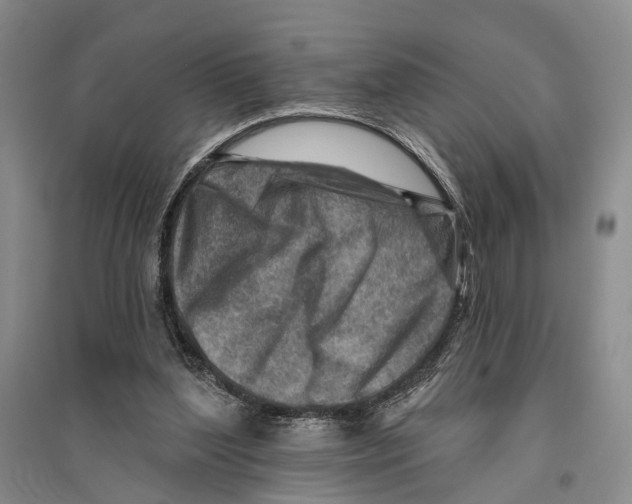 X0000096190204200802151510