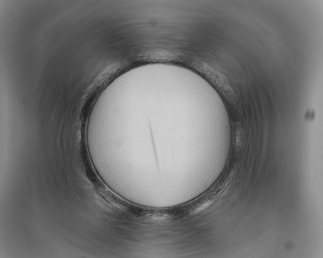 X0000096190206200802151510