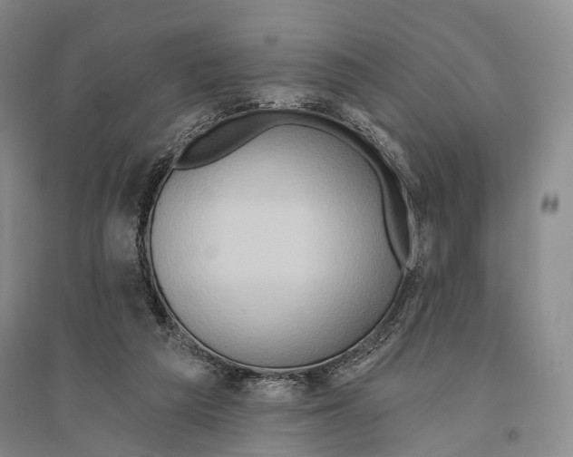 X0000096190209200802151510