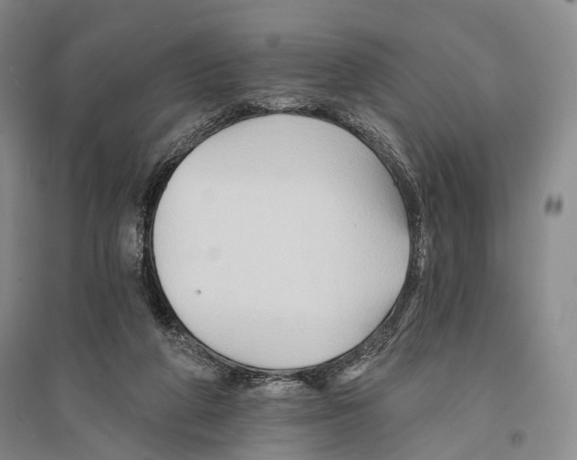 X0000096190210200802151510