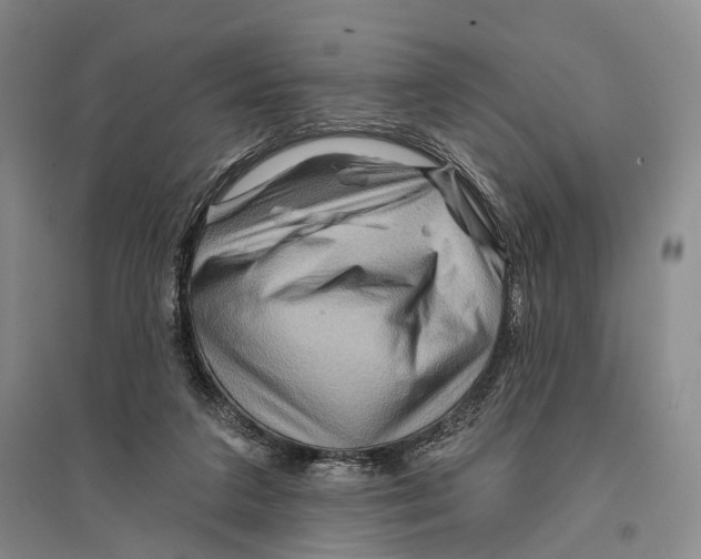 X0000096190211200802151510