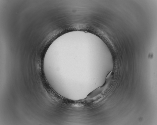 X0000096190212200802151510