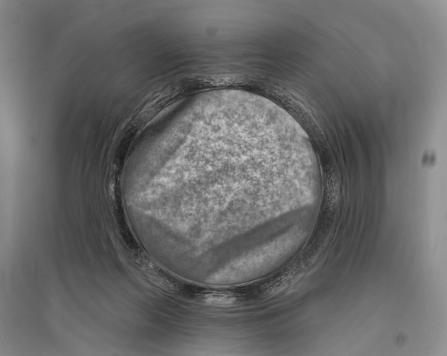 X0000096190214200802151510