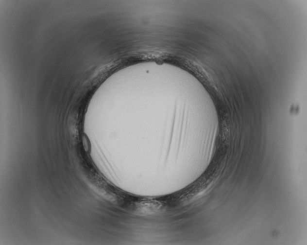 X0000096190215200802151510