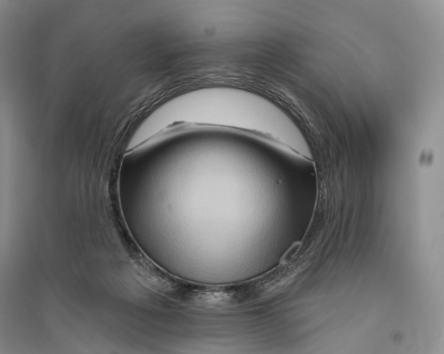 X0000096190217200802151510