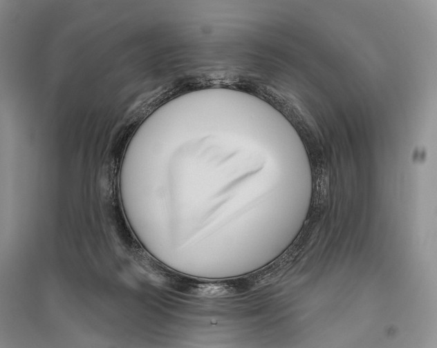 X0000096190218200802151510