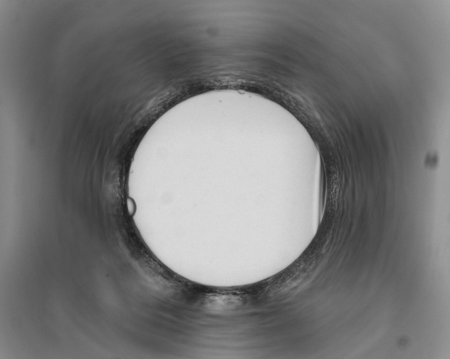 X0000096190220200802151510