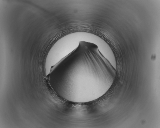 X0000096190221200802151510