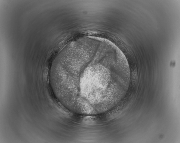 X0000096190222200802151510