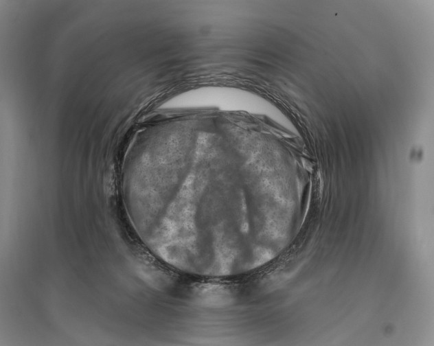 X0000096190224200802151510