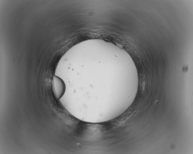 X0000096190226200802151510