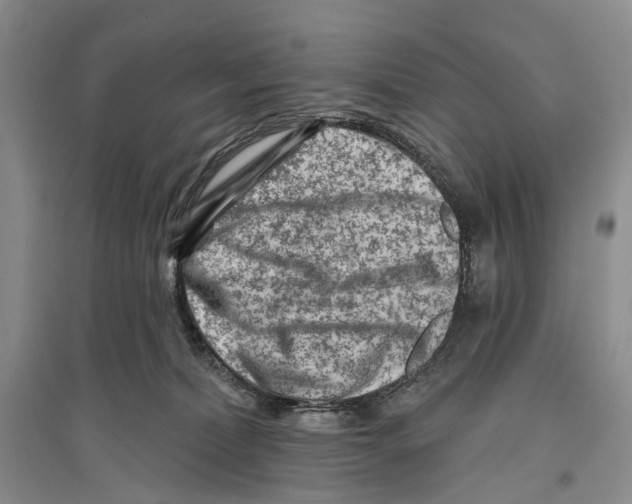 X0000096190228200802151510