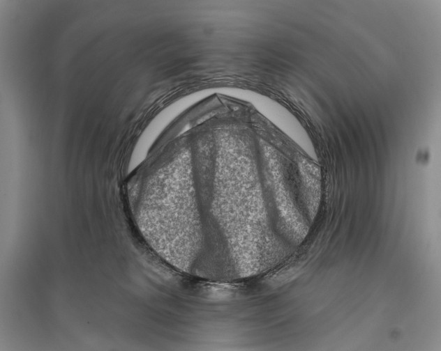 X0000096190229200802151510