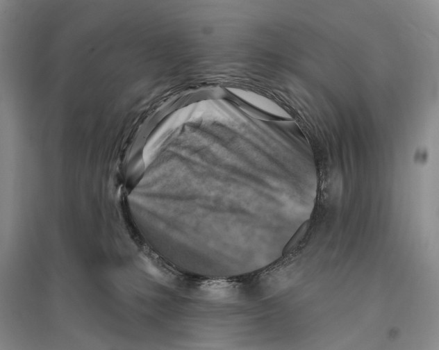 X0000096190231200802151510