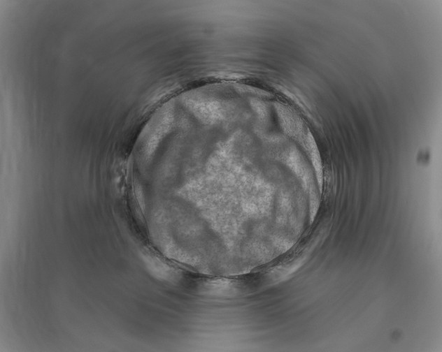 X0000096190237200802151510