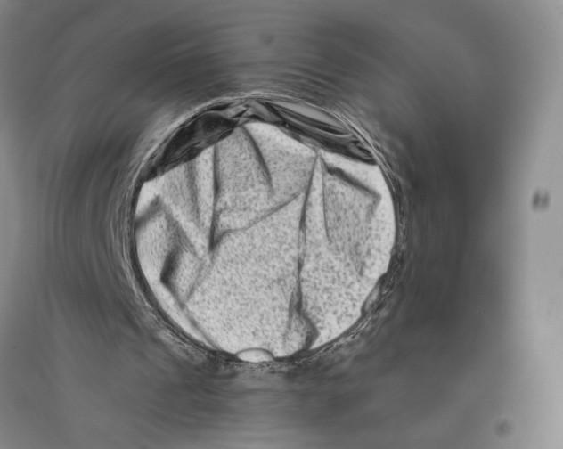 X0000096190241200802151509