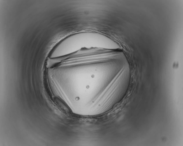 X0000096190242200802151509