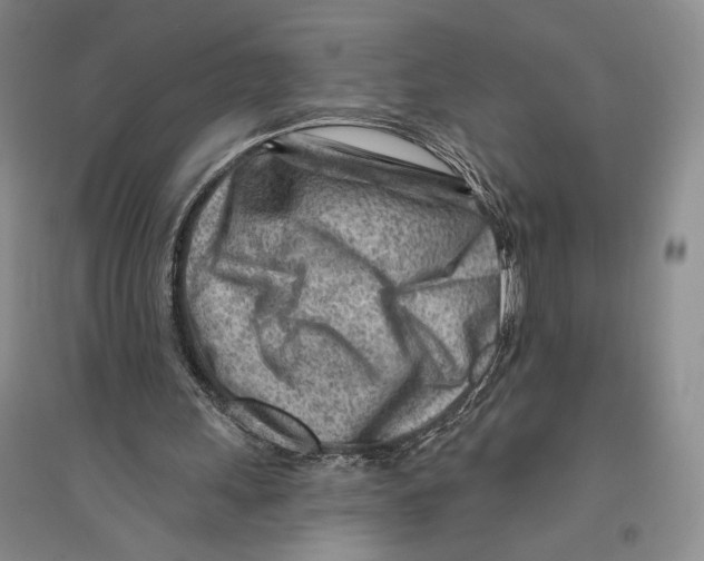 X0000096190243200802151509