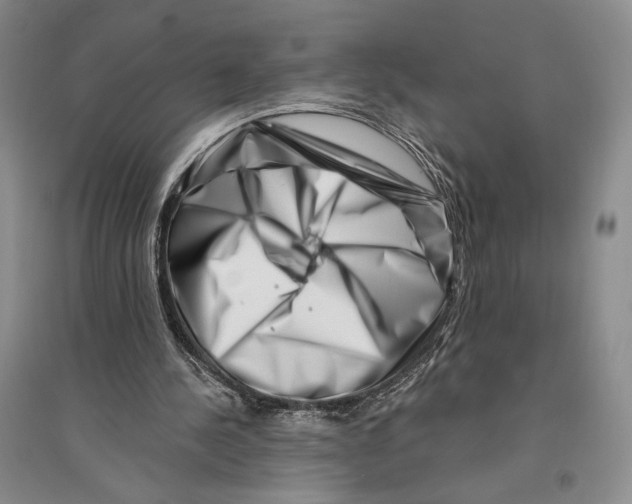 X0000096190244200802151509