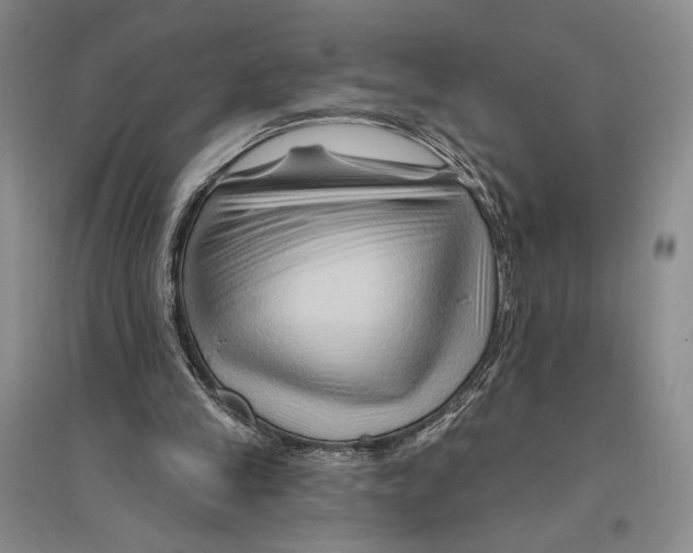 X0000096190245200802151509