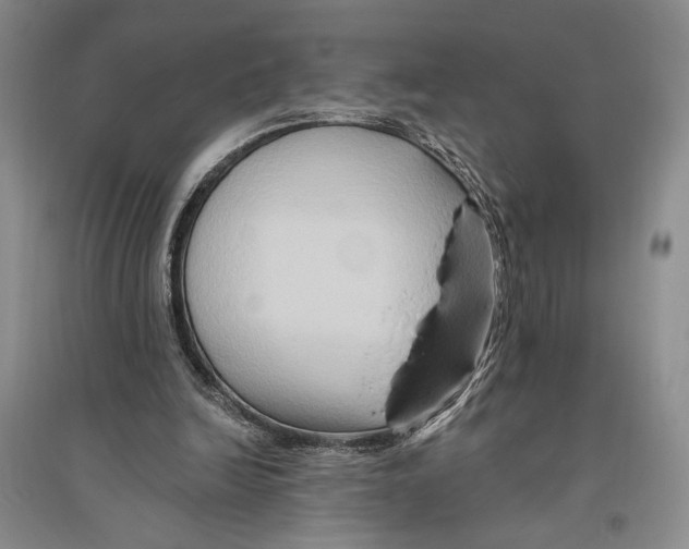 X0000096190246200802151509