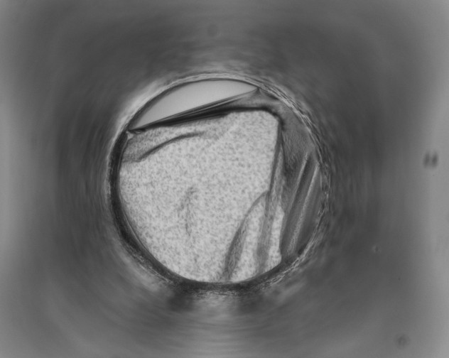 X0000096190248200802151509